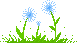 blue flowers dance energetically. what are they listening to? something nice!