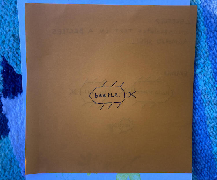 a sheet of origami paper illustrated with a beetle made of text